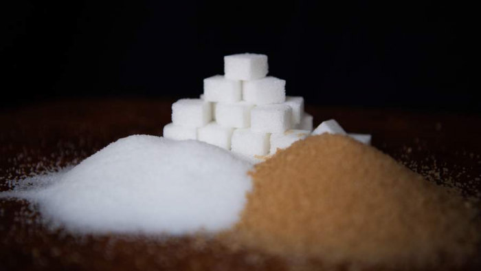 Нутрициолог объяснила влияние рациона на когнитивные функции и память