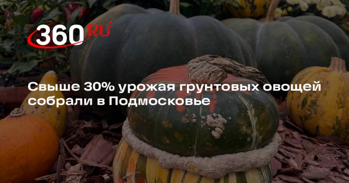 Свыше 30% урожая грунтовых овощей собрали в Подмосковье