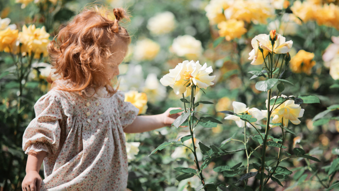 Огненные и редкие: почему рыжих людей так мало