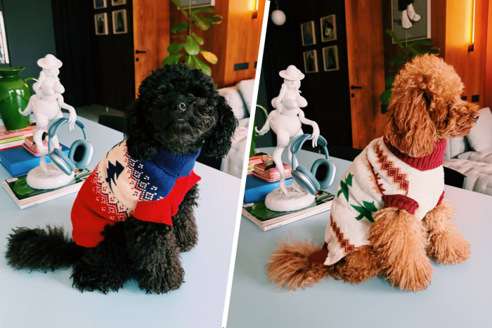 Стилист Александр Рогов снял своих собак в образах для зимы