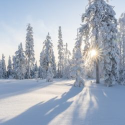 Как убрать статическое электричество с одежды и волос