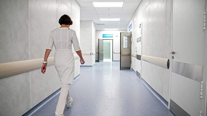 Нутрициолог объяснила влияние рациона на когнитивные функции и память