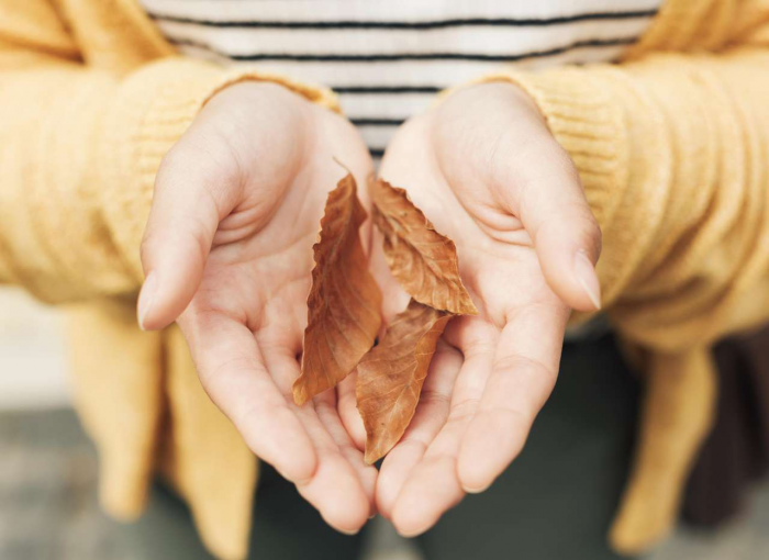 Как помочь коже рук в осенний период: советы косметолога