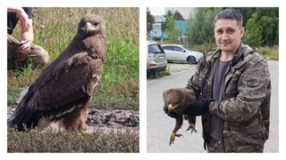 "Скрывал лицо под маской". Полицейский в отпуске поймал грабителя банков в Новосибирске